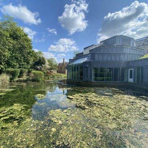 Real World Studios seen from the outside on a sunny day with a verdant pond in the foreground